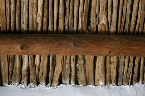 Saguaro rib ceiling